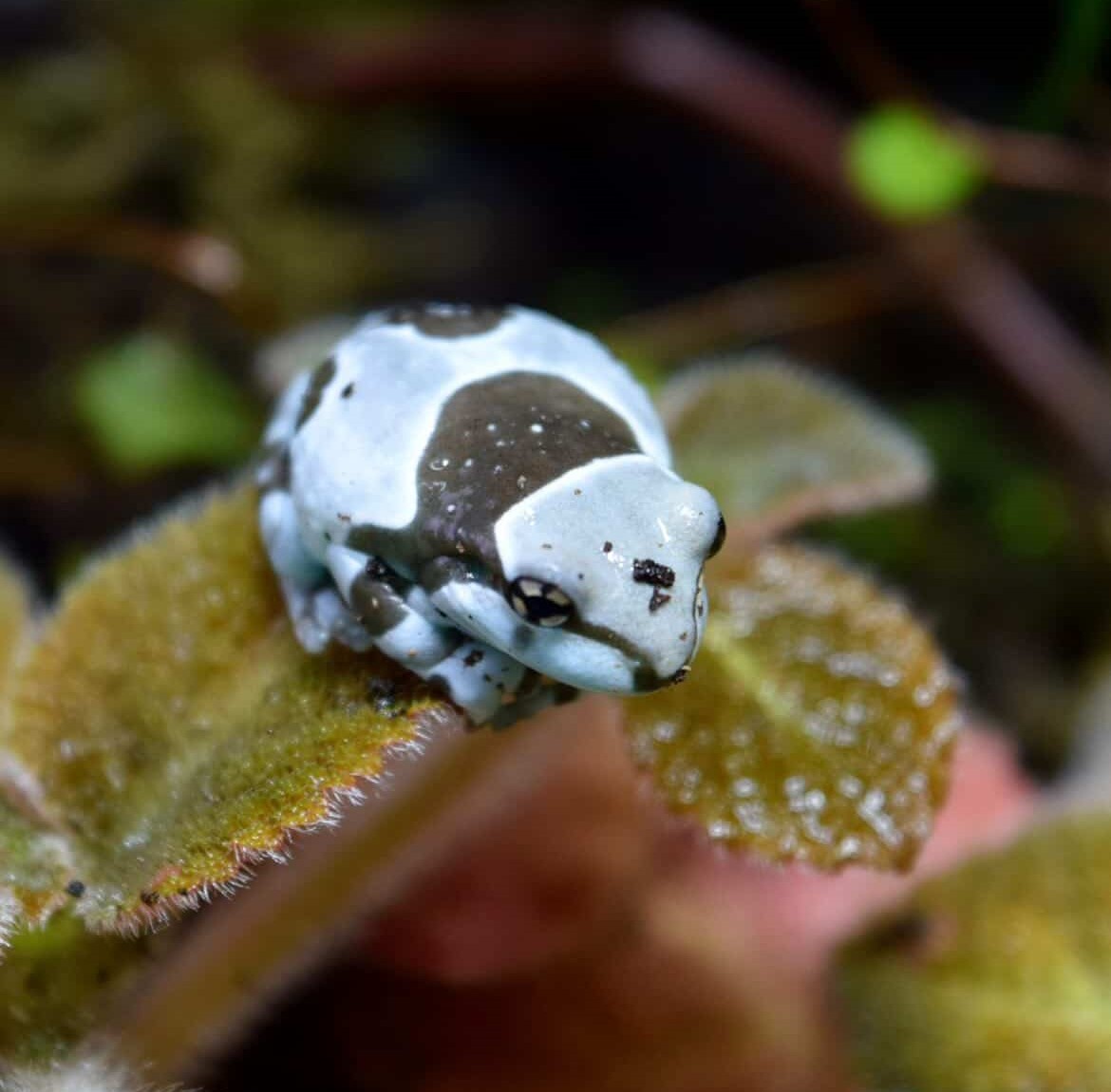 642454197_774130732012424_594392479217869279_n