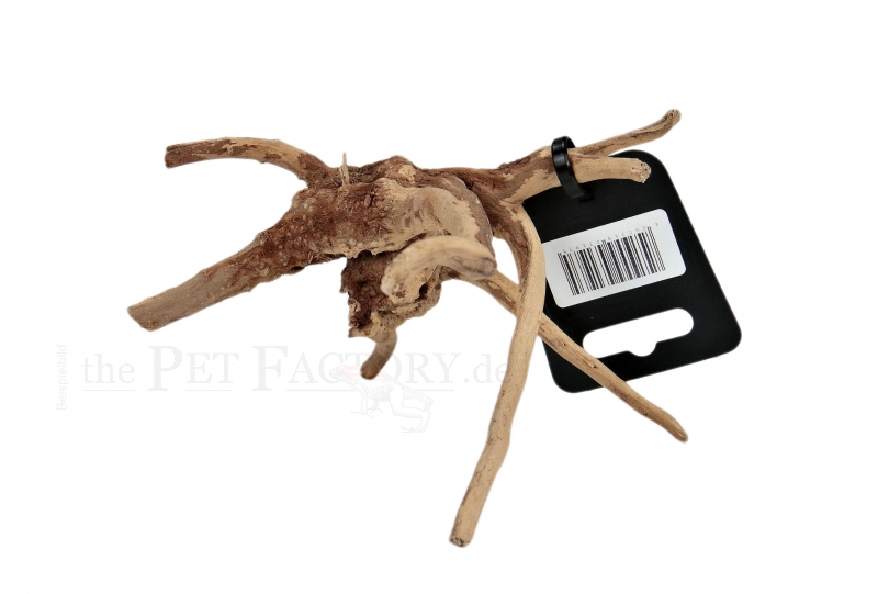 The Pet Factory – Red Bog root S