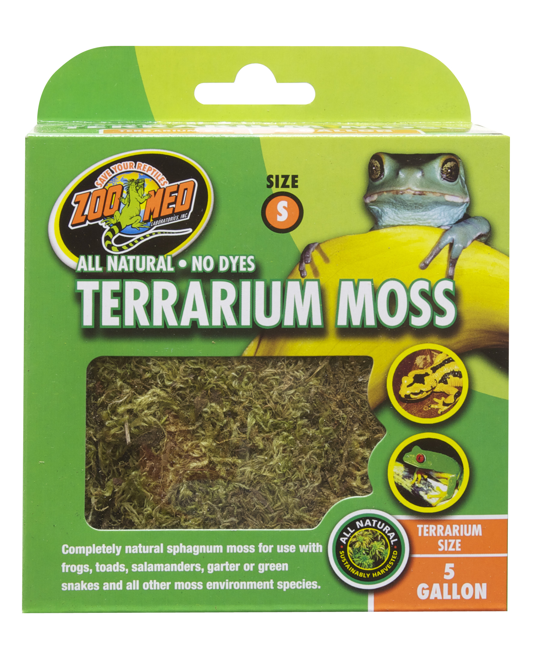 Zoomed – Terrarium Moss S