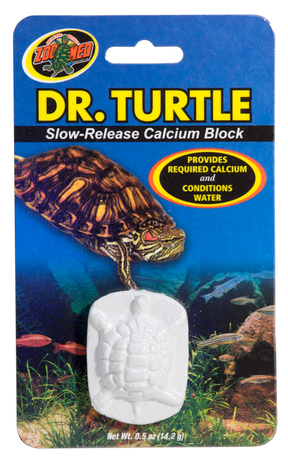 Dr.Turtle zoomed