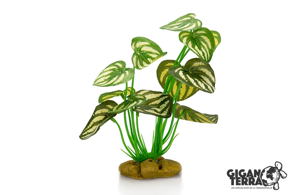 Giganterra – Πλαστικό φυτό με βάση 21cm