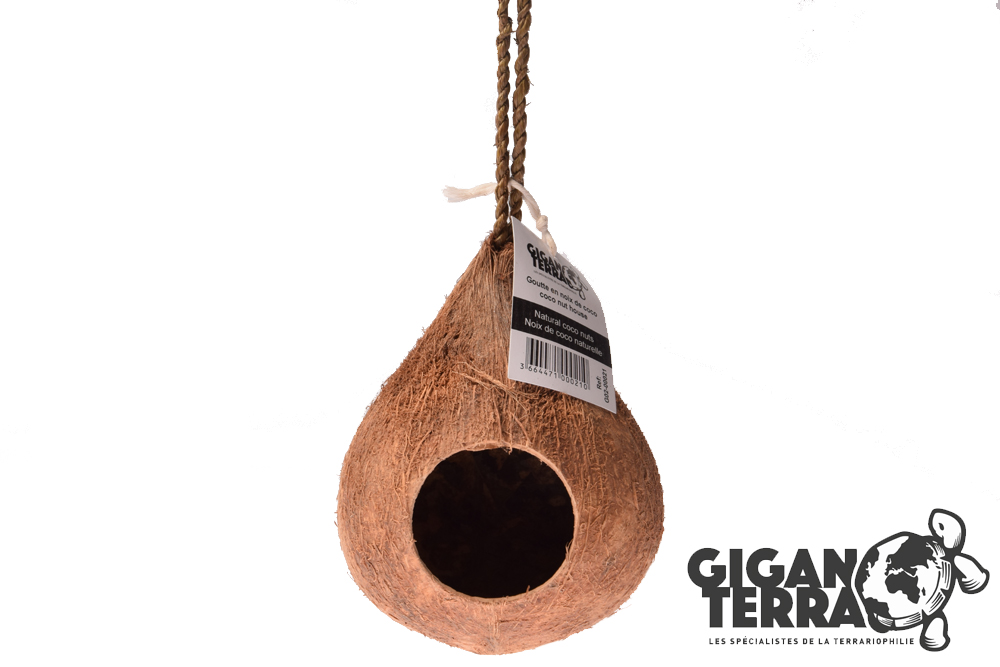 Giganterra – Φυσική κρεμαστή κρυψώνα κοκοφοίνικα