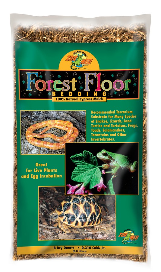 Zoomed Forest Floor 8lt exoplismos erpeton ipostromata