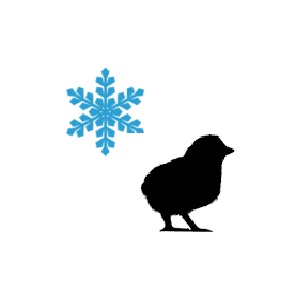Frozen Chickens