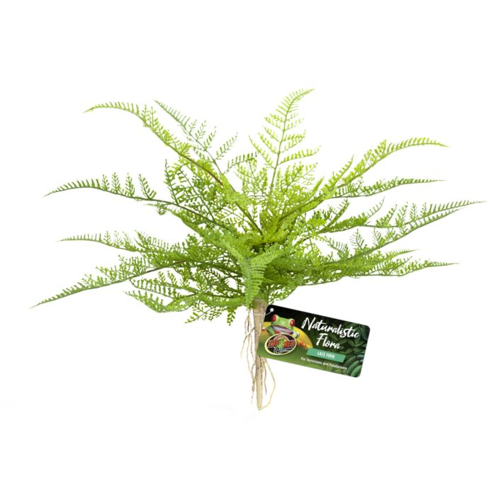 Zoomed – Naturalistic Flora Lace Fern