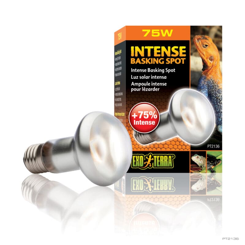 Exo-Terra Repti Basking Spot Lamp 75W