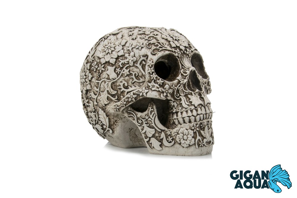 SCULL